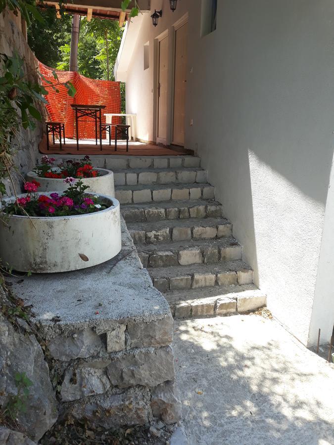 Apartmani Viza リサン エクステリア 写真