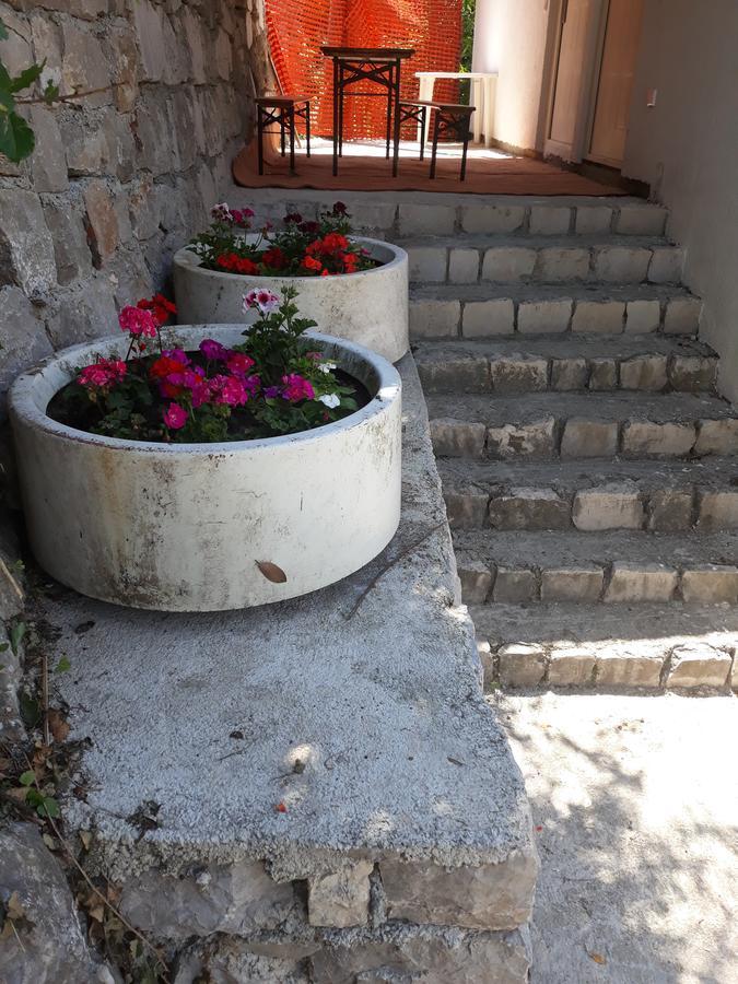 Apartmani Viza リサン エクステリア 写真